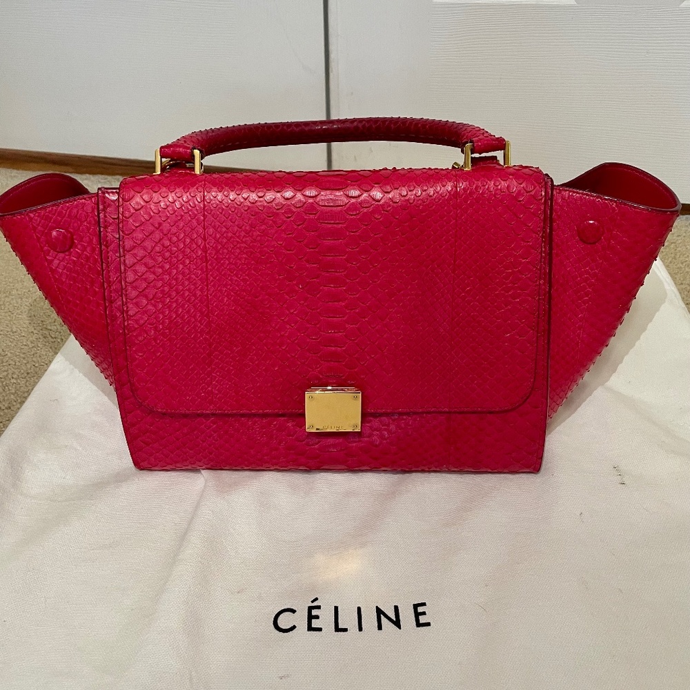 Celine Trapeze Bag Python Medium - image 1